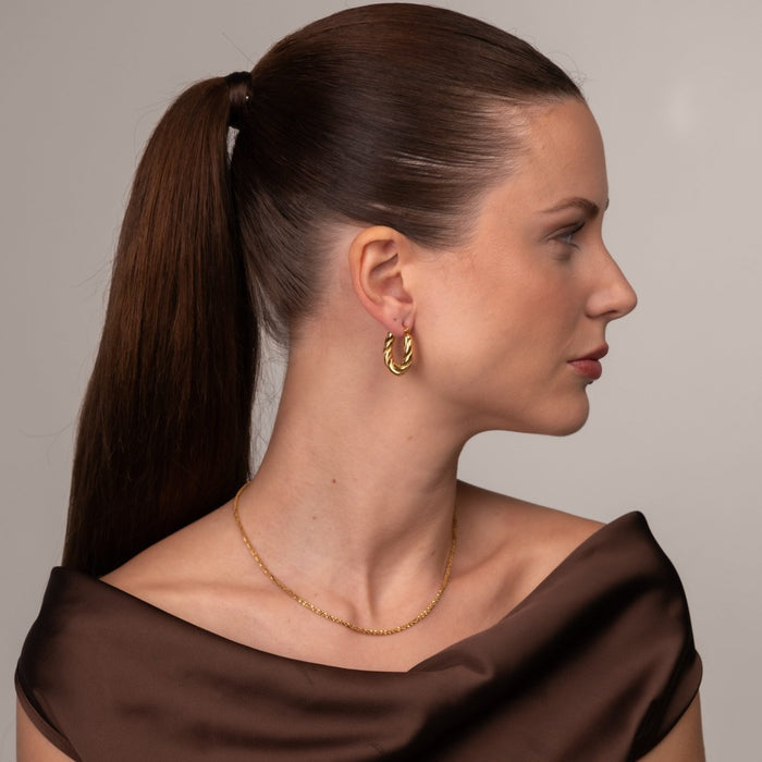 Women's Stainless Steel 18K Gold-Plated Earrings – Hoop Twisted Hoop – Meiva earrings view 6